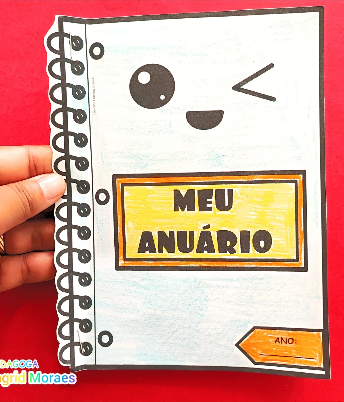 Meu Anuário