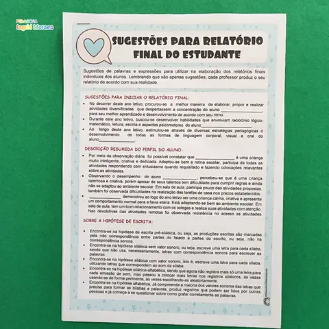 Sugestões Para Relatório Individual Final Do Aluno