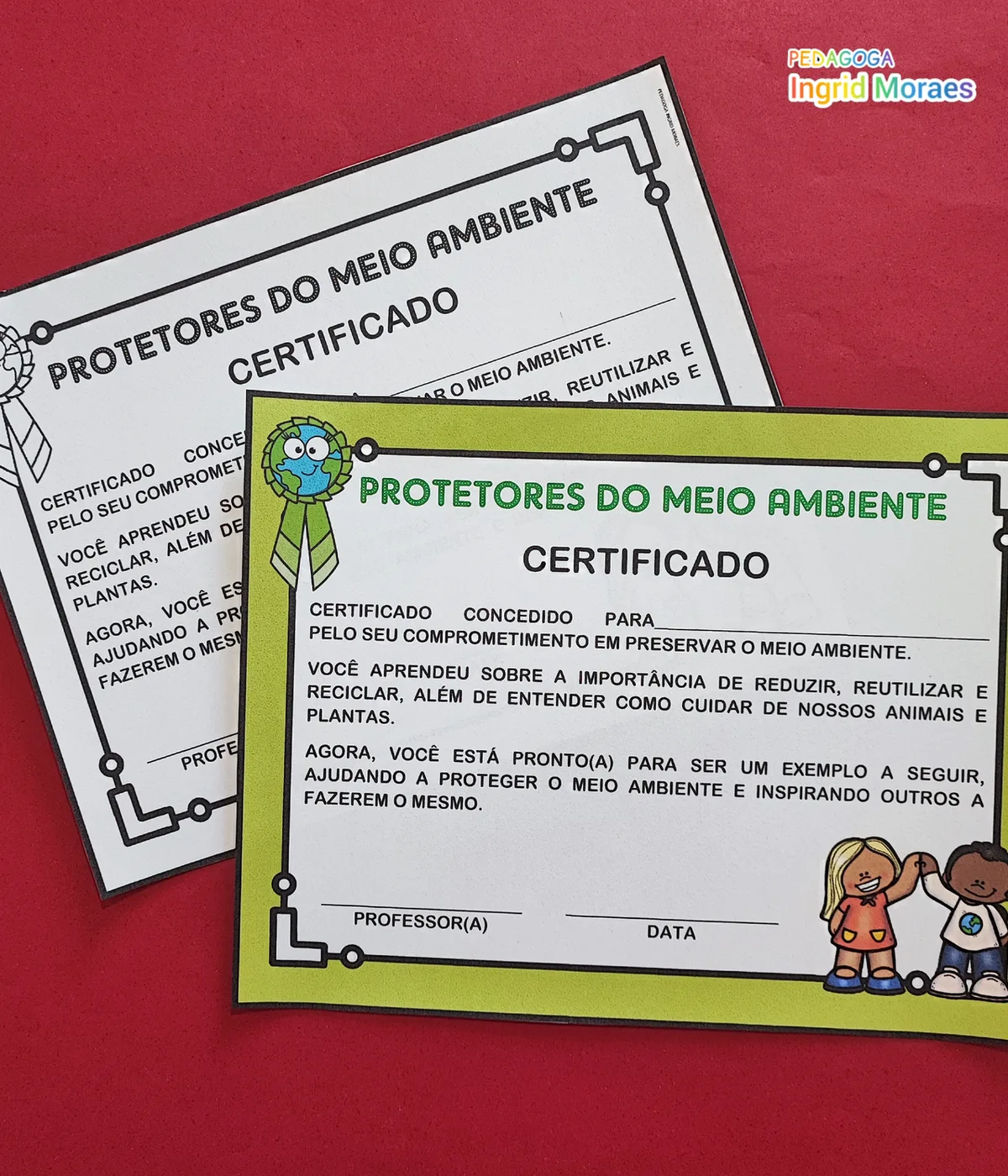 Certificado Protetor Do Meio Ambiente