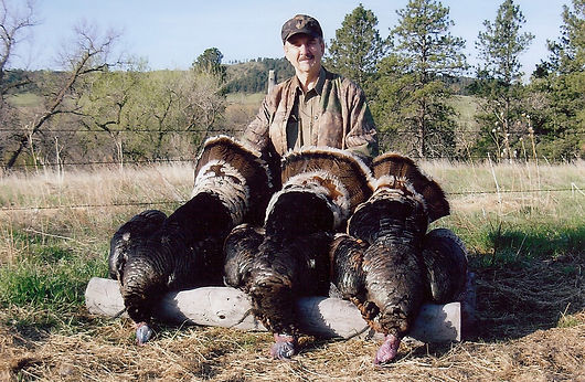 Nebraska Merriam's Turkey hunts