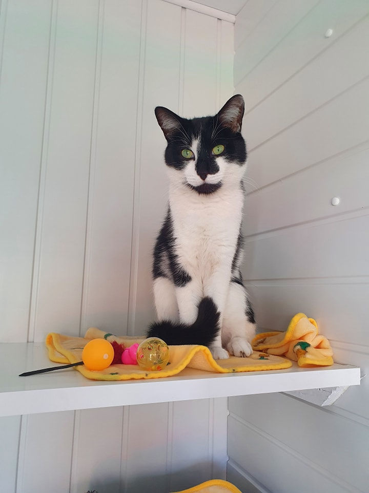 278132717_713215136764935_1655277302849500259_n