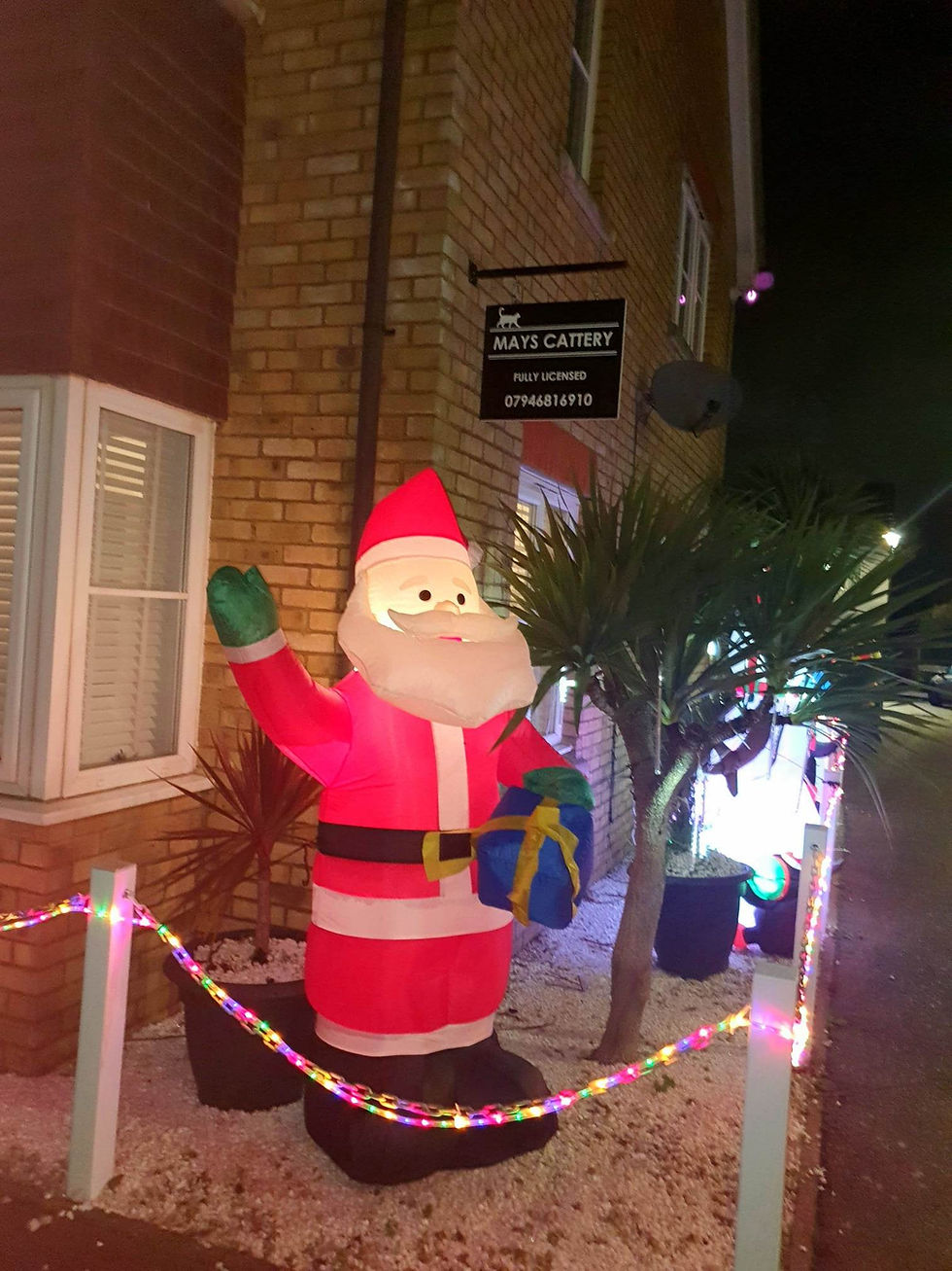 324449664_1827051904340991_6796441449752535277_n