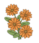 HERO INGREDIENTS (1).png