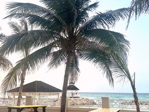 From Jamaica with Love