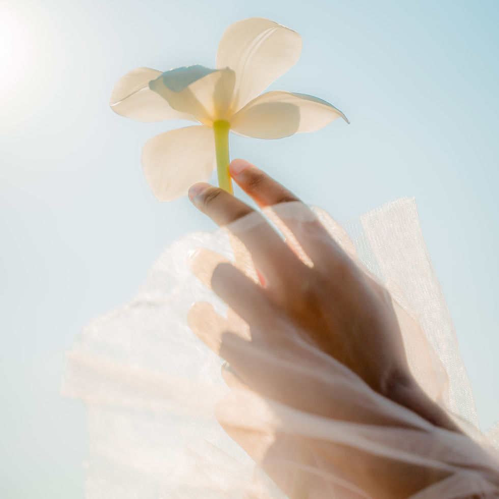 Symbol of Hope - a hand releasing a white flower
