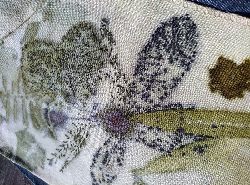 Empreintes de plantes après cuisson