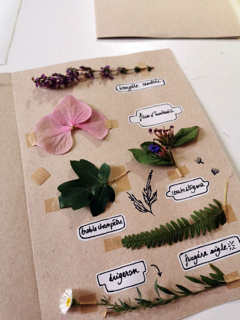 Miniature : Atelier découverte Ecoprint