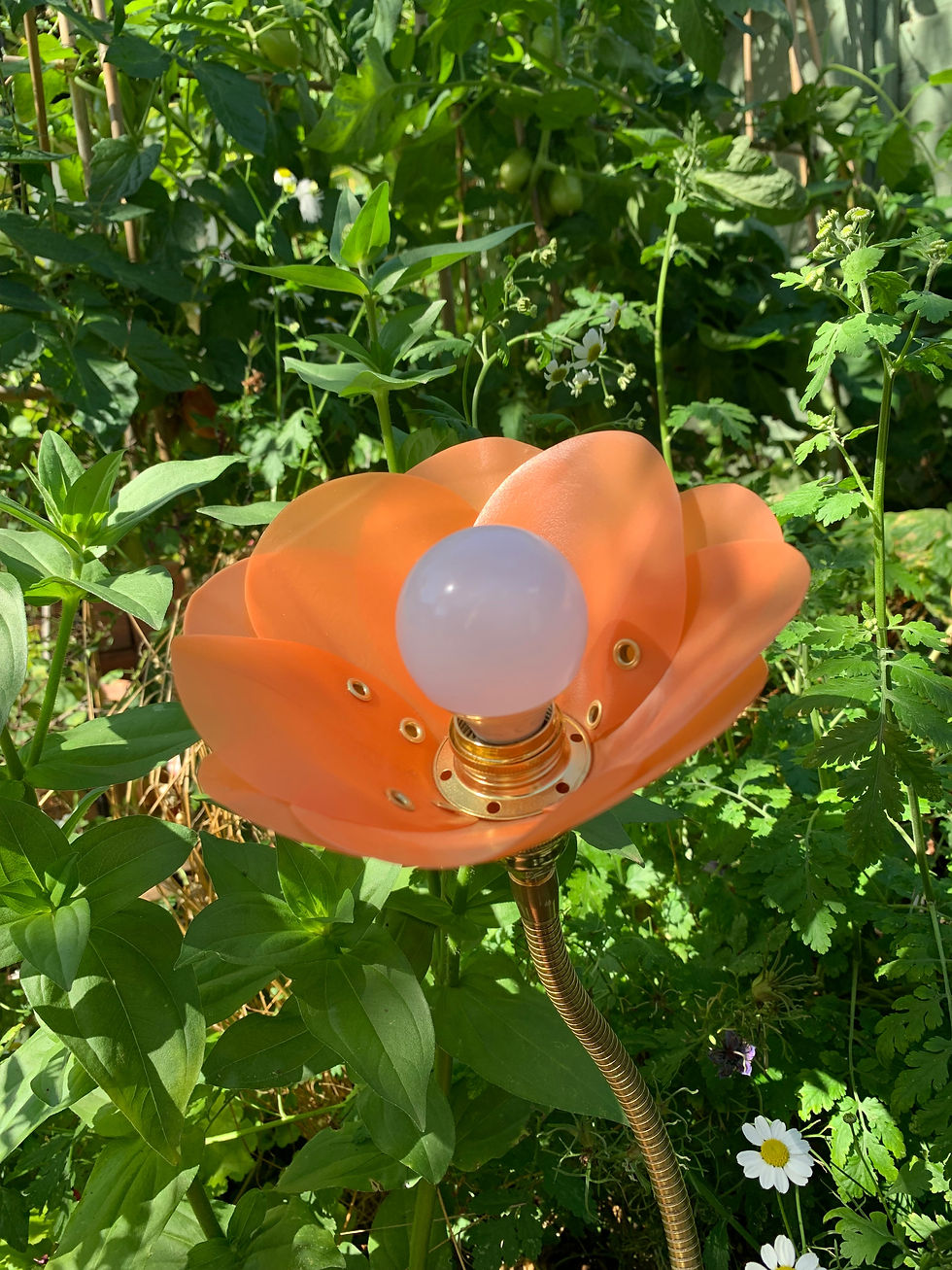 Thumbnail: Tangerine Lamp