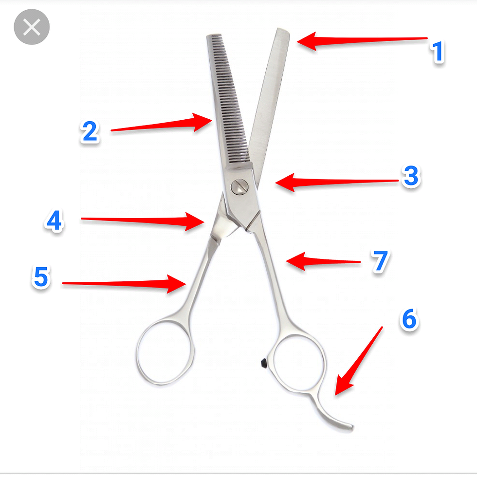 Thumbnail: ClipperGuy Classic Barber Blender