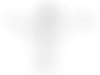 The Customer Service Triangle