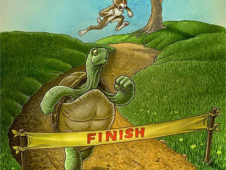 De haas en de schildpad