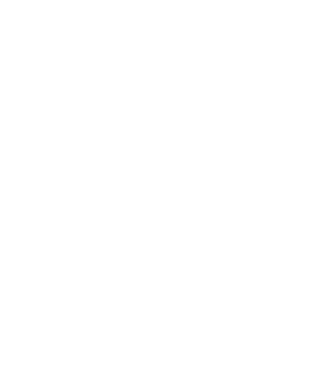 201014 - Service Icons without Text_Apex - Site Appraisal.png