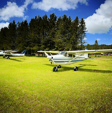 C16511D7-F85F-4B67-9DB0-07A70E4042BD_Original 2.jpg