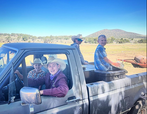 Ranch work