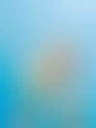 cerveceria de colima