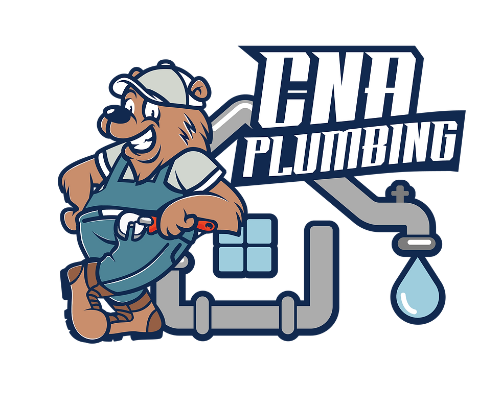 CNALogo_Mesa de trabajo 1 copia 21.png