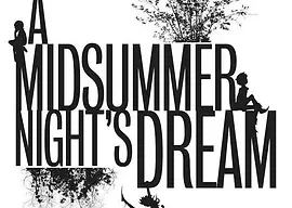THEATRE: A Midsummer Night's Dream - NAPA