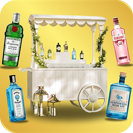 JKJ Events' stylish gin bar, resembling a candy cart, elegantly displaying a selection of high-quality brand gins in premium bottles, set up for a sophisticated event.