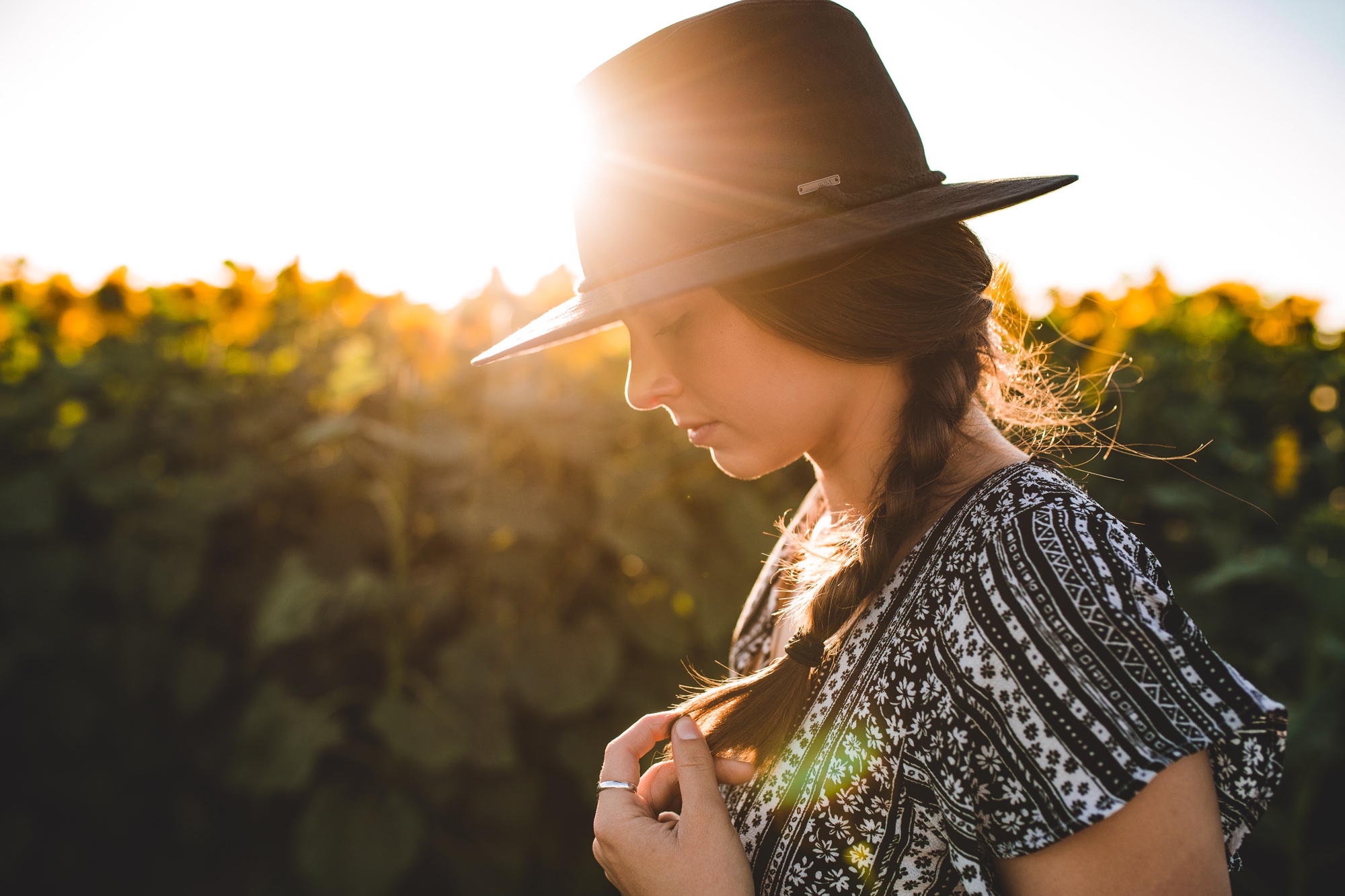 Davis Sunflower Fields Davis, Ca Melissa Goodland Award Winning