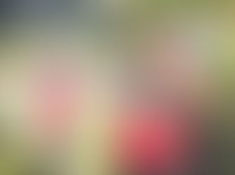 The Many Smiles of Miss Victoria