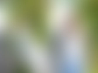 Folsom Senior Photographer | Kendall Alexandra | Bella Vista High School