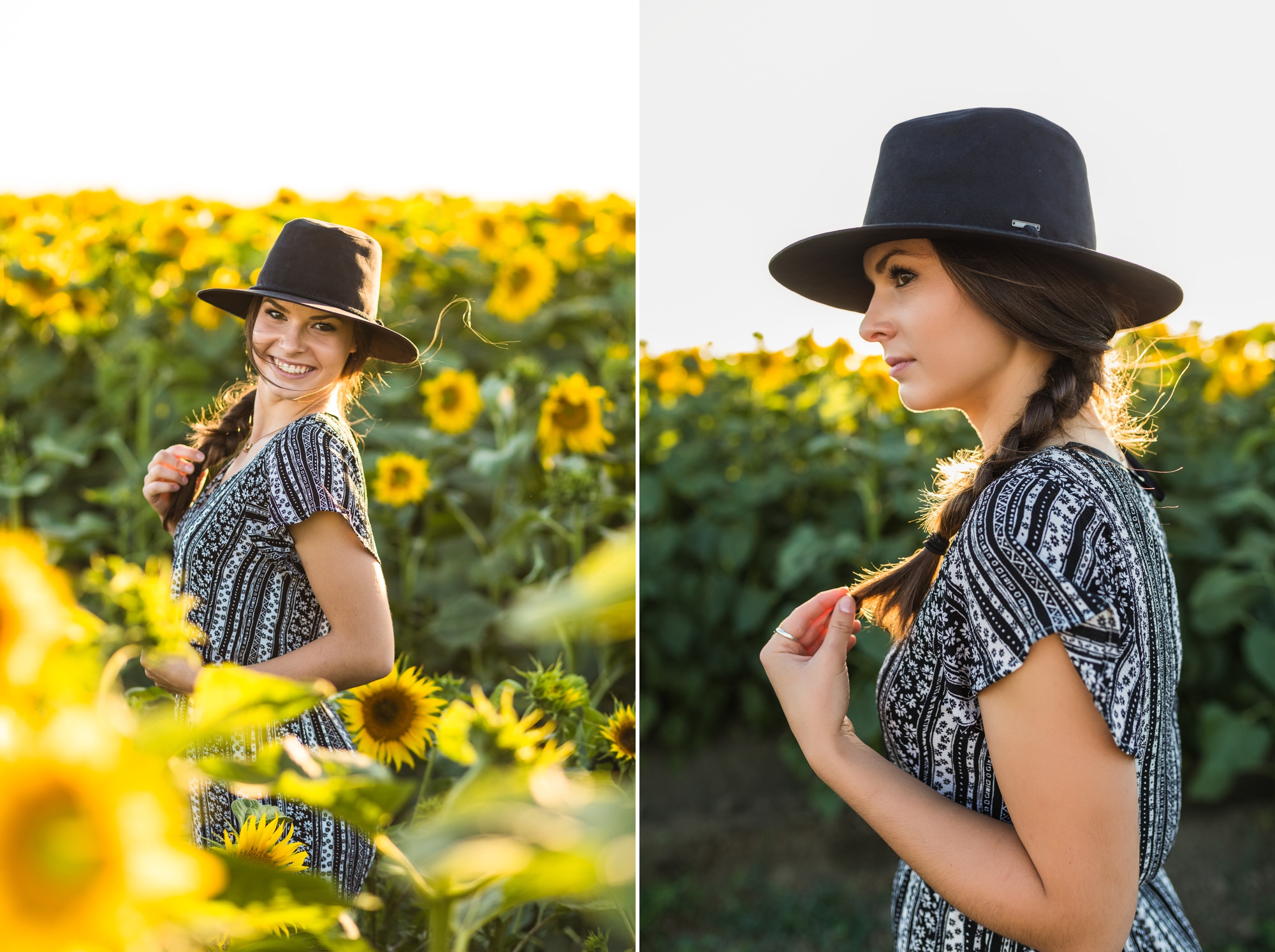 Davis Sunflower Fields Davis, Ca Melissa Goodland Award Winning