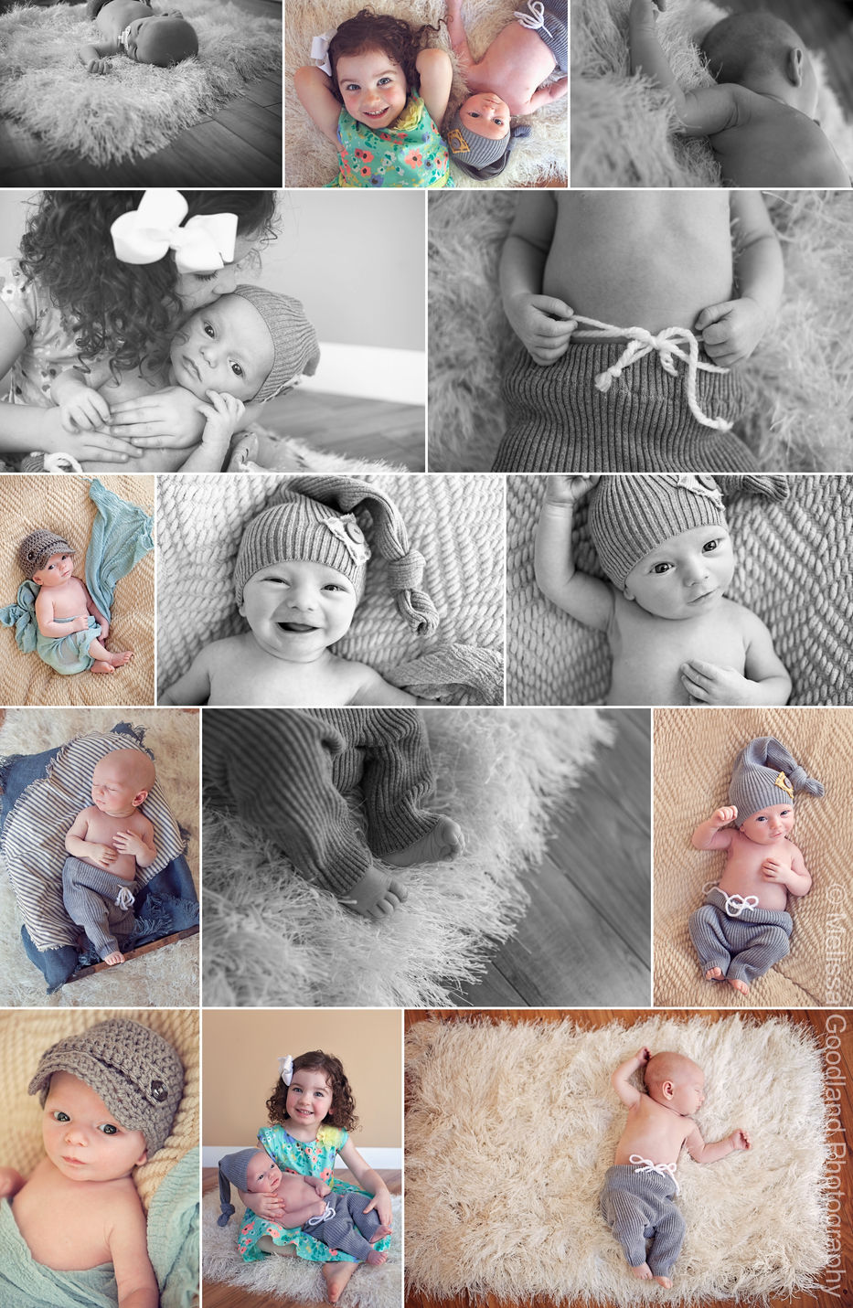 New Arrival- Crew Neely