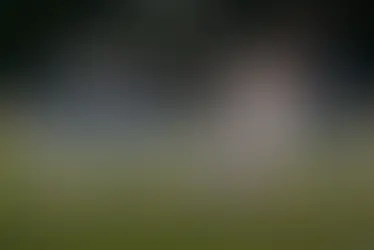 Milestones Within Reach as Westview Hosts Westmoreland in Playoffs