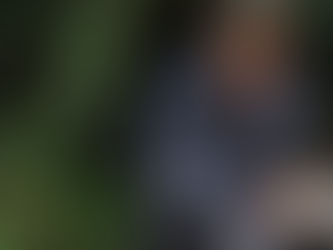 Pour une forêt primaire en Europe de l'ouest