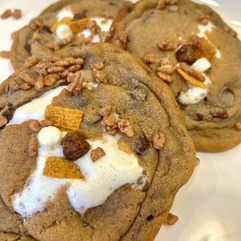 Luna Cereal Bar S'mores Cookie 