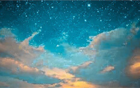 Gray Simple  Company Profile Flyer (1)_edited.jpg