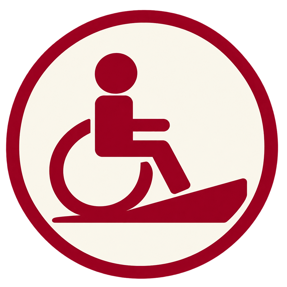 level access icon.png