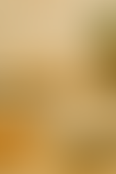 Ultimeal: One Powerful Blend, Two Delicious Ways to Nourish Your Family