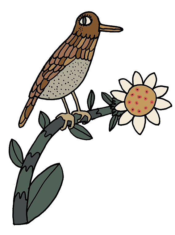 oiseau christine hantzo.gif