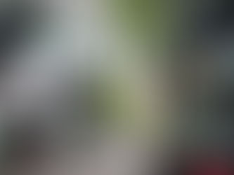 Japan vs. Deutschland – Immobilienmärkte im Vergleich