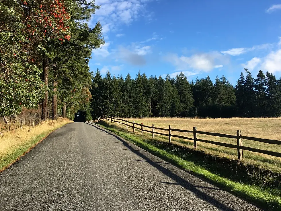 County Road - Orcas Island, Washington