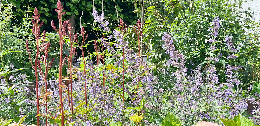 2024-06-08 14.54.29.jpg