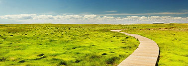 landscape.jpg