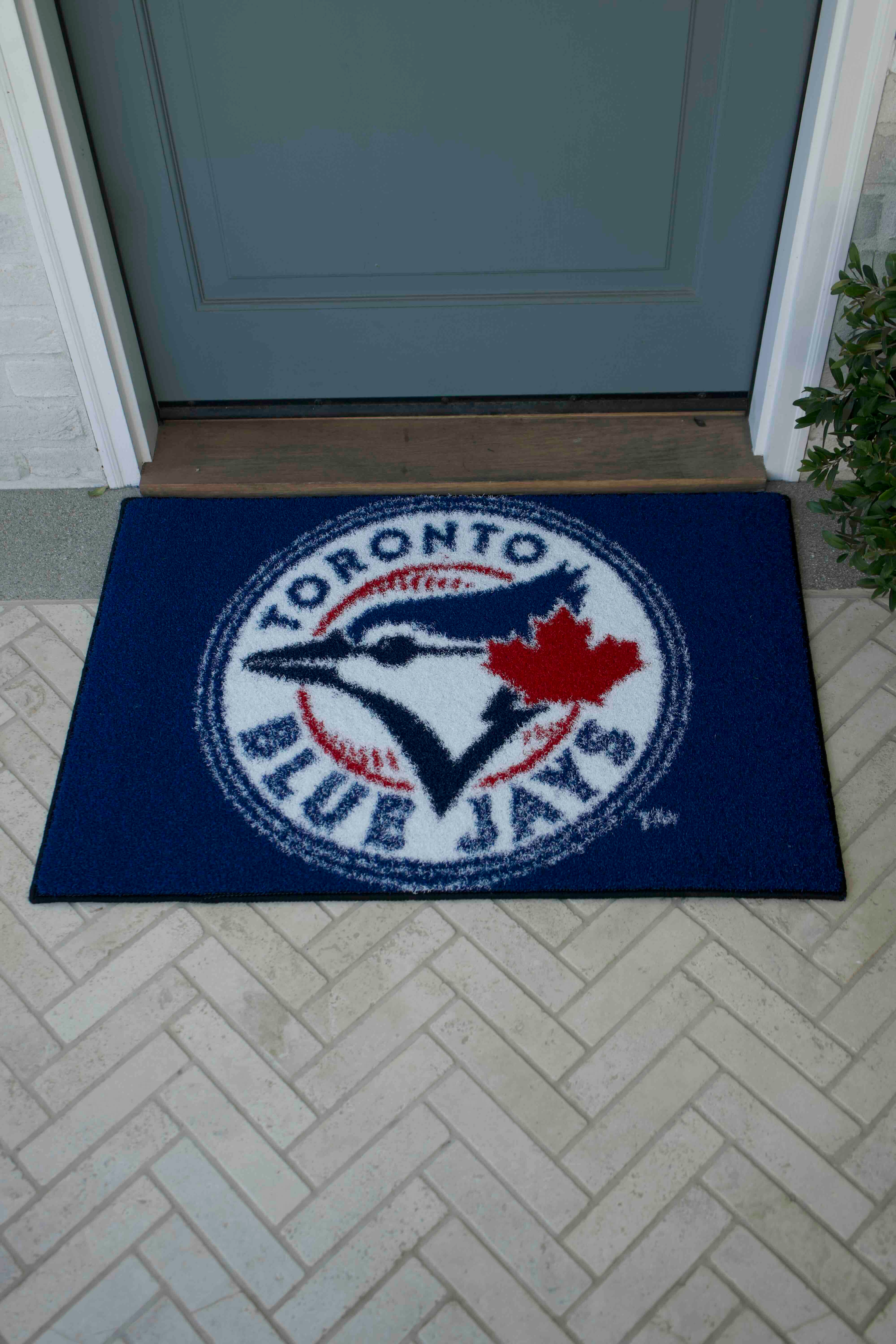TORONTO BLUE JAYS™ 26" x 38" THE STARTER