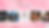 Shauny’s.PNG