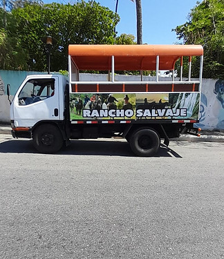 camion rancho.jpeg