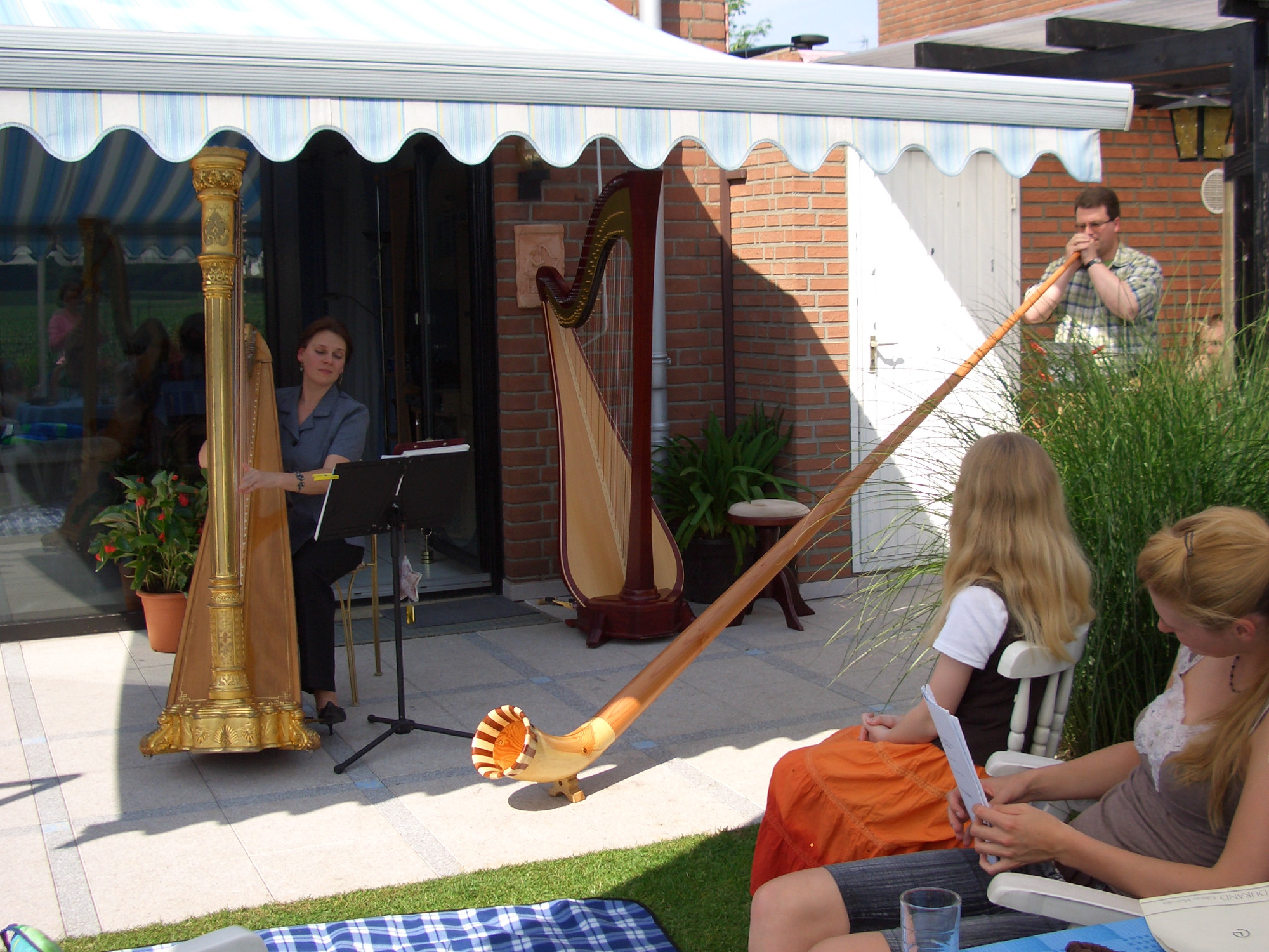 Harfe und Alphorn