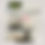 Thumbnail: Casa Zisa Cleaning Kit