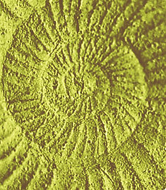 DC6CC8D1-50E8-4769-9131-06A4FB43DCAD.jpeg