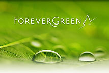 Forevergreen