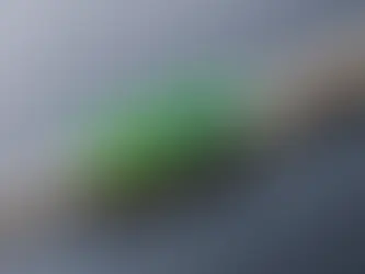 How Often Should You Replace Your Toothbrush?