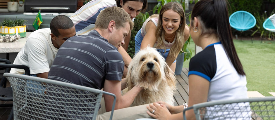 Byron and the share house struggle with the idea of Trevor leaving in Neighbours