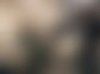 Frankie Boyle's Meantime to be adapted into a new comic crime thriller for Sky