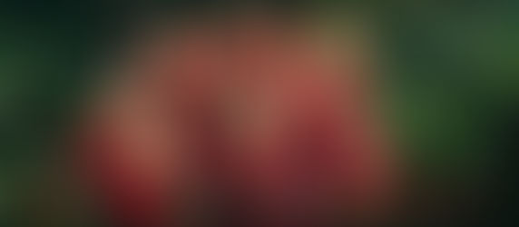 FIRST LOOK I'm A Celeb 2024