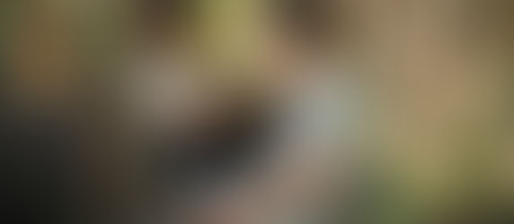 Nell and JJ finally admit that they really like each other in Neighbours